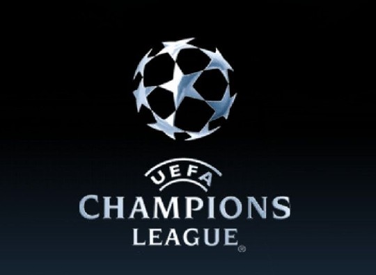 为这一选择 为这一选择